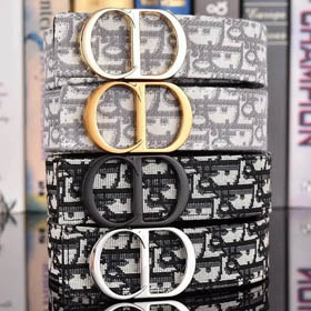 DIOR Belt (17+ Styles）-0245  